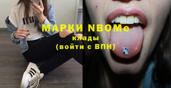 индика Богородицк