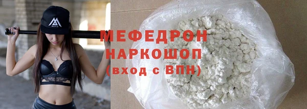 индика Богородицк