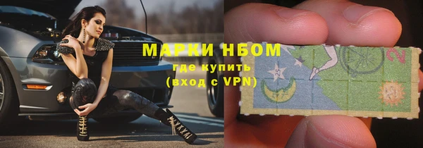 гашиш Богданович