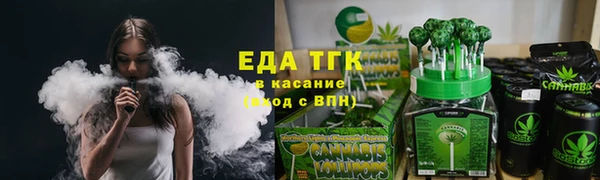 индика Богородицк