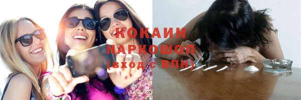 индика Богородицк
