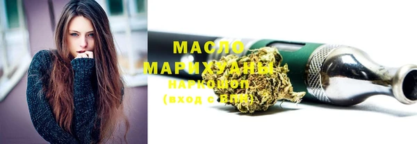 индика Богородицк