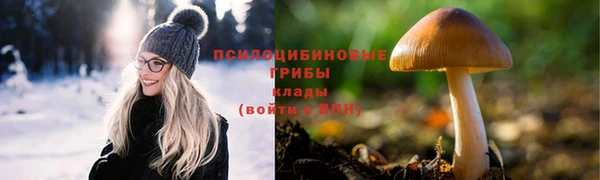 гашиш Богданович