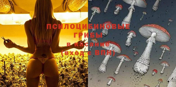 гашиш Богданович