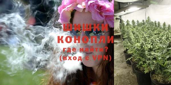 стаф Богородск