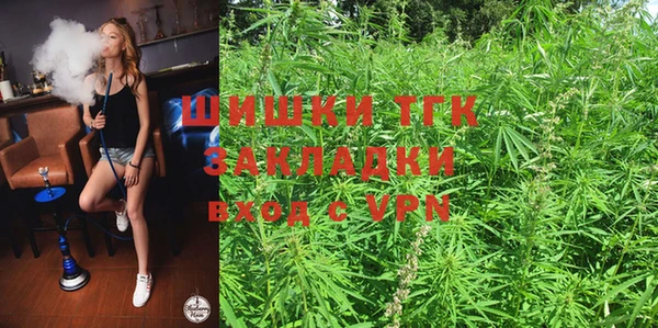 стаф Богородск