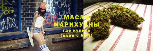 индика Богородицк