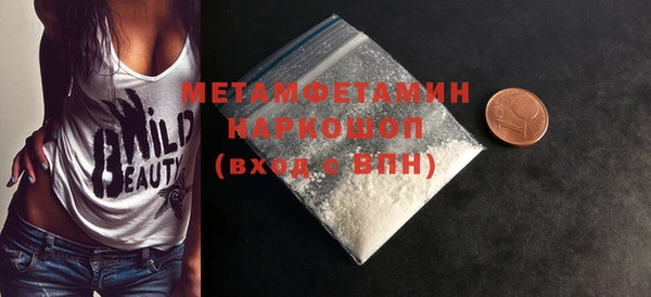 индика Богородицк