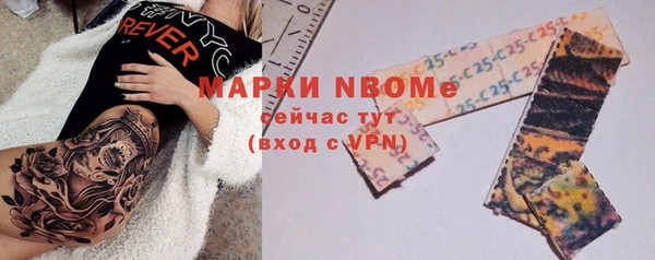 индика Богородицк