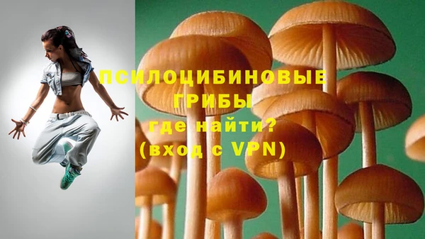 гашиш Богданович