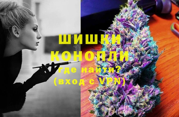 индика Богородицк