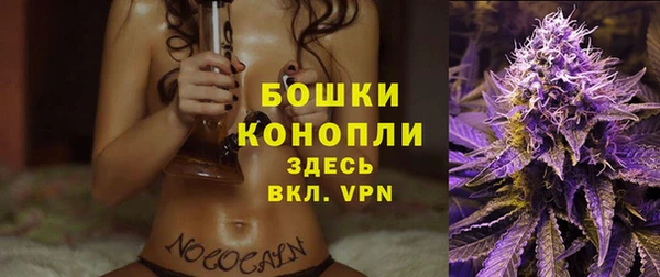 стаф Богородск