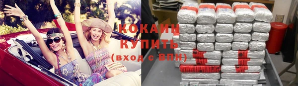 индика Богородицк
