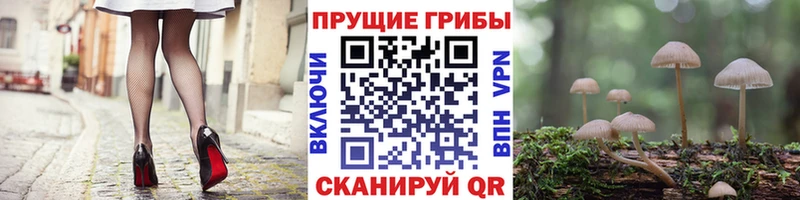 купить  сайты  Костомукша  Галлюциногенные грибы прущие грибы 